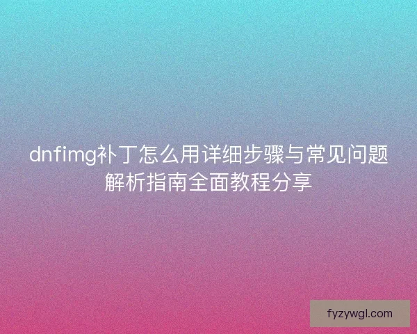 dnfimg补丁怎么用详细步骤与常见问题解析指南全面教程分享