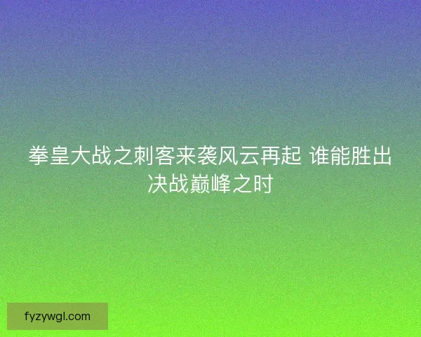 拳皇大战之刺客来袭风云再起 谁能胜出决战巅峰之时
